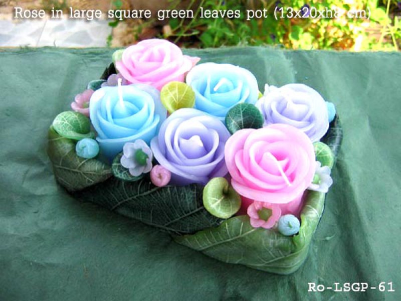 เทียนหอม เดชอุดม : CATALOGUE01|small items of flower candles from Thailand for any ocassions
FLOWER CANDLES COLLECTIONS|Ro-LSGP-61|large square green leaves pot 13 x 20 x h 8 c