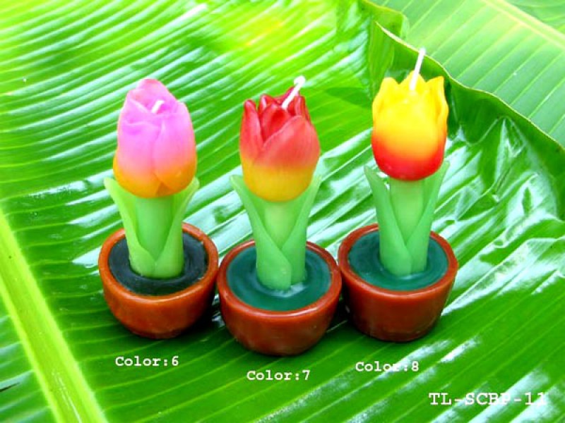 เทียนหอม เดชอุดม : CATALOGUE02|small items of flower candles from Thailand for any ocassions
A TOUCH OF THAI, MIXED WITH WILD FLOWER CANDLES|TL-SCBP-11|6 x h 13 cm
