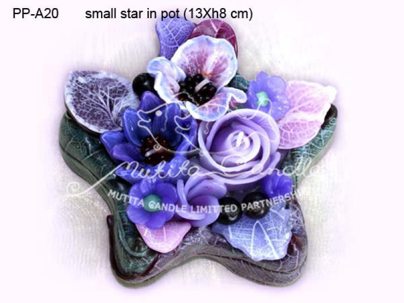 เทียนหอม เดชอุดม :  PINK PURPLE COLOUR A|Flower candles from Thailand for any ocassions
WILD FLOWER CANDLES IN MYSTERIOUS COLOUR|PP-A20|Small star in pot 13 x h8 cm