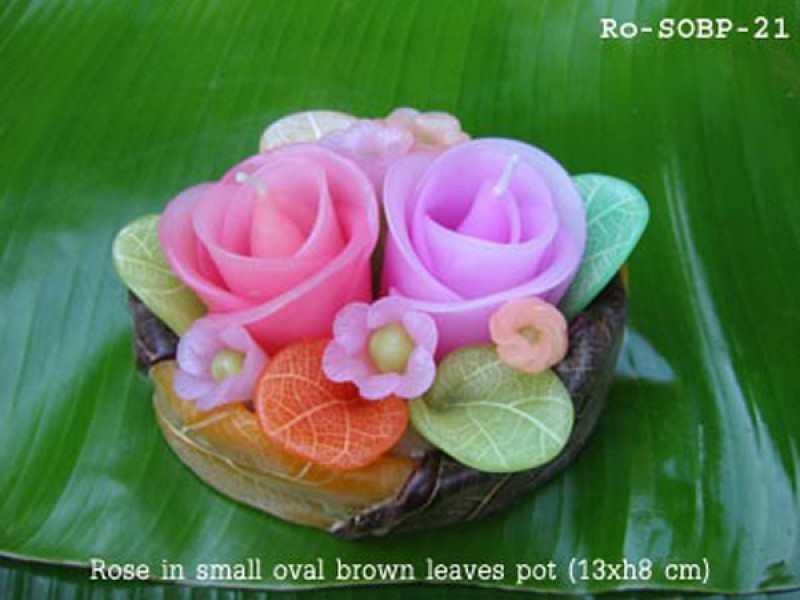 เทียนหอม เดชอุดม : CATALOGUE01|small items of flower candles from Thailand for any ocassions
FLOWER CANDLES COLLECTIONS|Ro-SOBP-21|small oval brown leaves pot 13 x h 8 cm