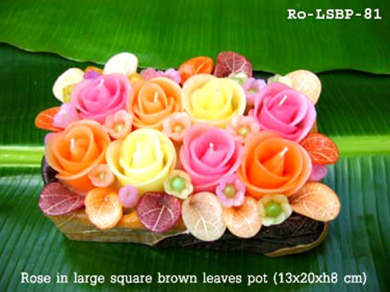 เทียนหอม เดชอุดม : CATALOGUE01|small items of flower candles from Thailand for any ocassions
FLOWER CANDLES COLLECTIONS|Ro-LSBP-81|large square brown leaves pot 13 x 20 x h 8 c