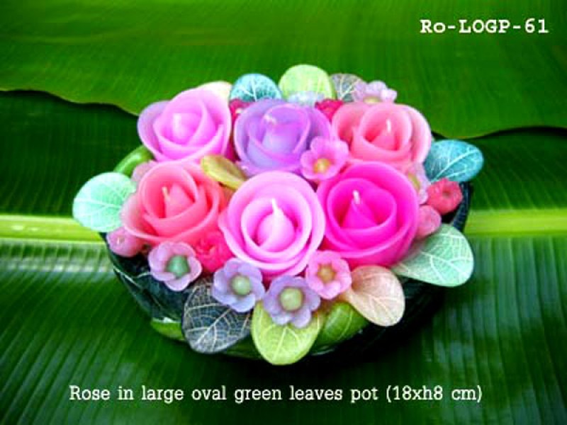 เทียนหอม เดชอุดม : CATALOGUE01|small items of flower candles from Thailand for any ocassions
FLOWER CANDLES COLLECTIONS|Ro-LOGP-61|large oval green leaves pot 18 x h 8 cm