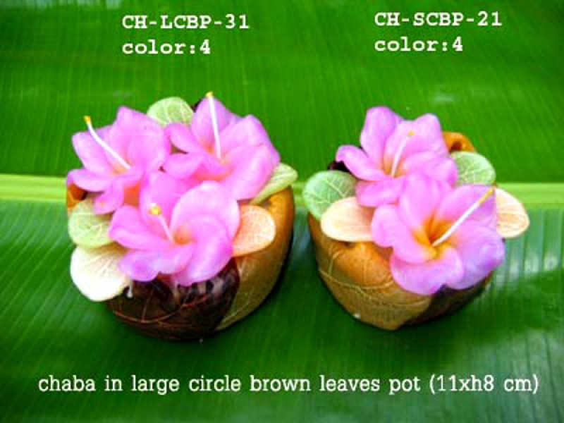 เทียนหอม เดชอุดม : CATALOGUE02|small items of flower candles from Thailand for any ocassions
A TOUCH OF THAI, MIXED WITH WILD FLOWER CANDLES|CH-LCBP-31|large circle pot  11 x h8 cm