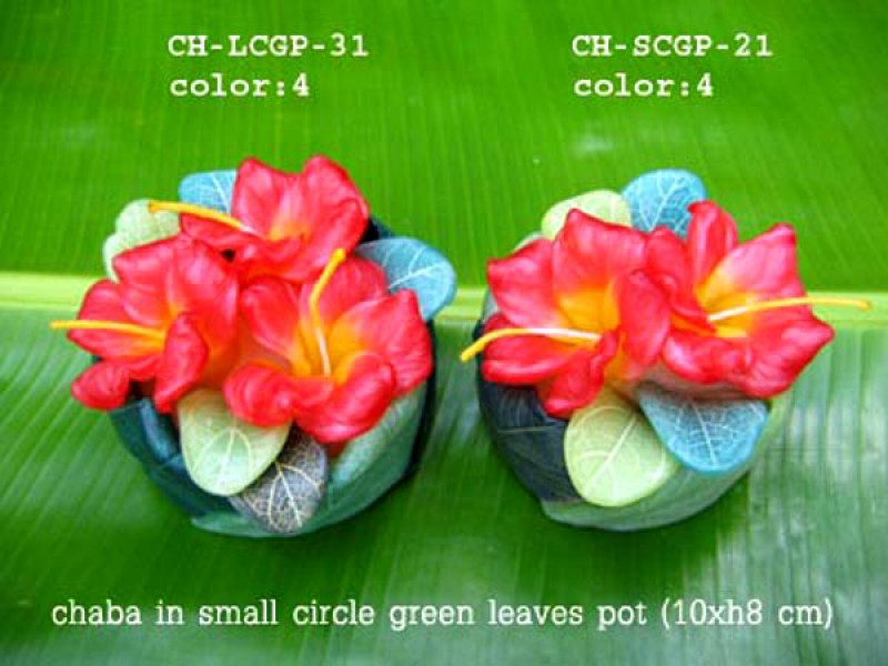 เทียนหอม เดชอุดม : CATALOGUE02|small items of flower candles from Thailand for any ocassions
A TOUCH OF THAI, MIXED WITH WILD FLOWER CANDLES|CH-SCGP-21|small circle pot 10 x h 8 cm
